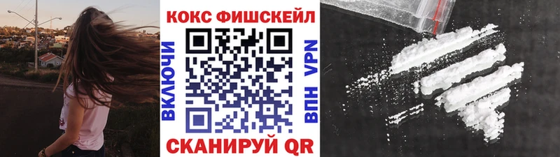 COCAIN Fish Scale  купить   кракен сайт  Азнакаево 
